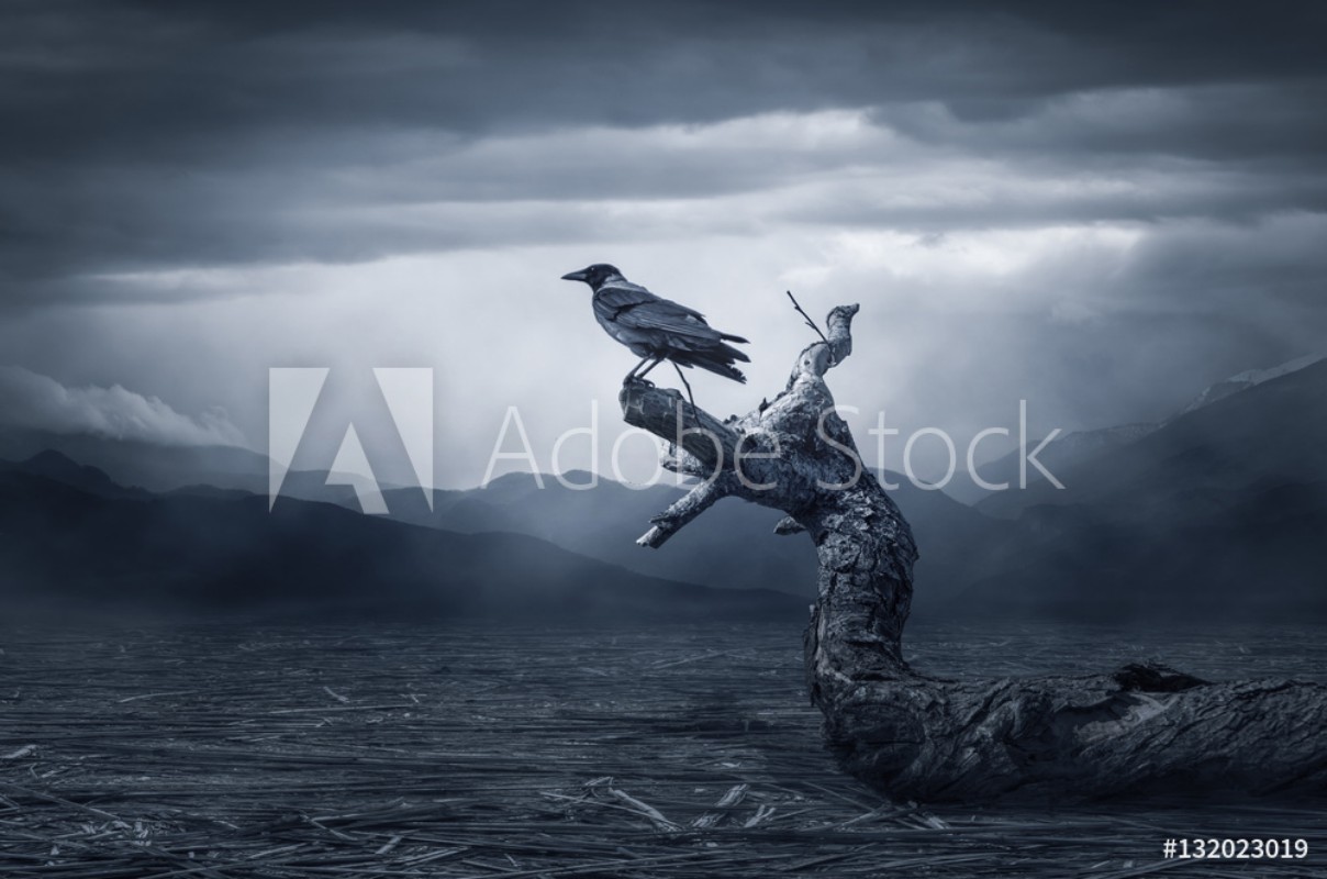 Bild på Crow sitting on a branch
